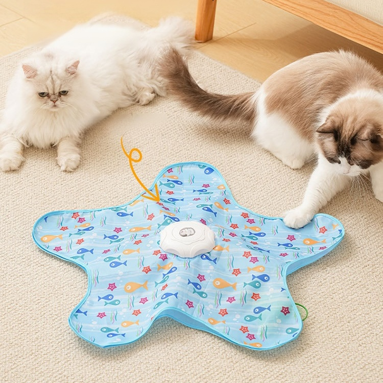 자동 고양이 이중 원형 놀이판 세트