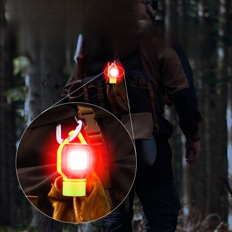 Multifunctional emergency safety light