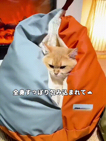 TikSave.io_769406755888402.gif