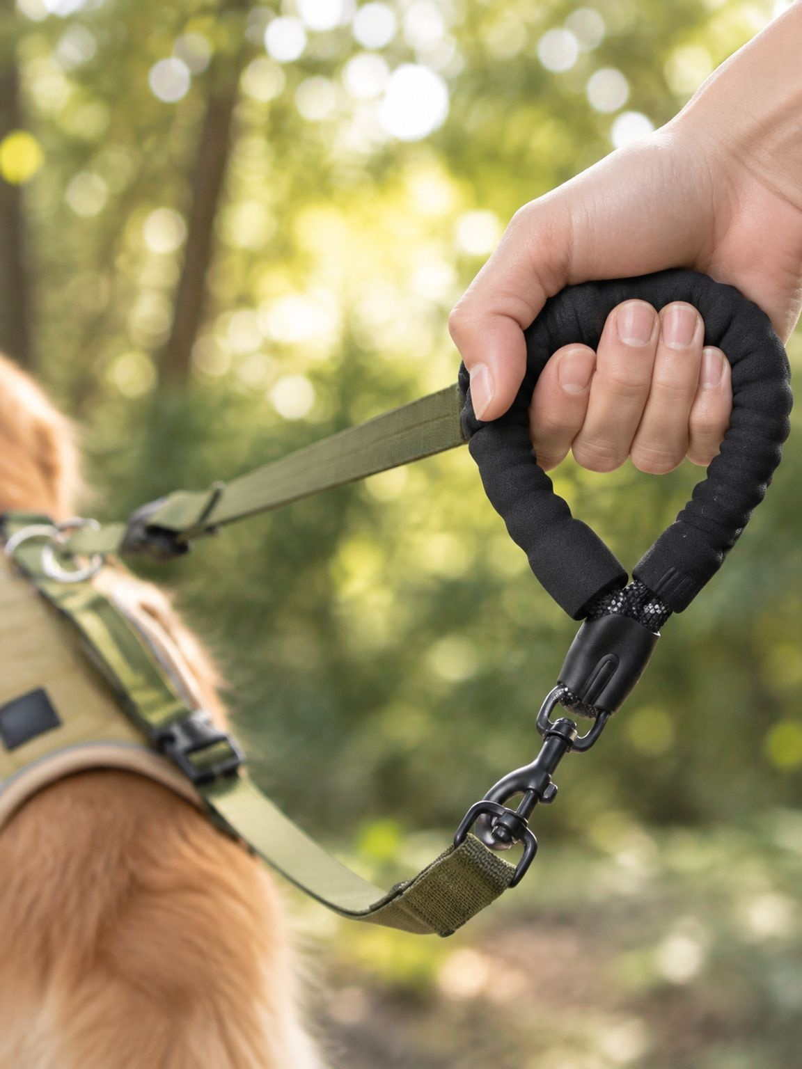 Robuste Leine für große Hunde beim Wandern und Spazierengehen