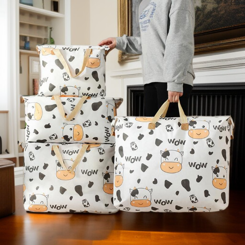 大容量のラゲッジバッグ