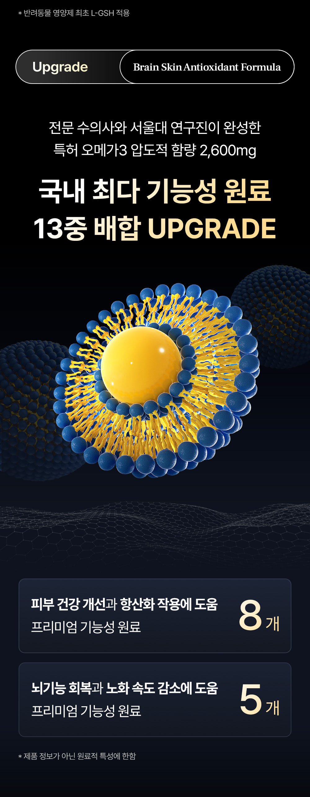 6_tg_om_dog_img (1).jpg