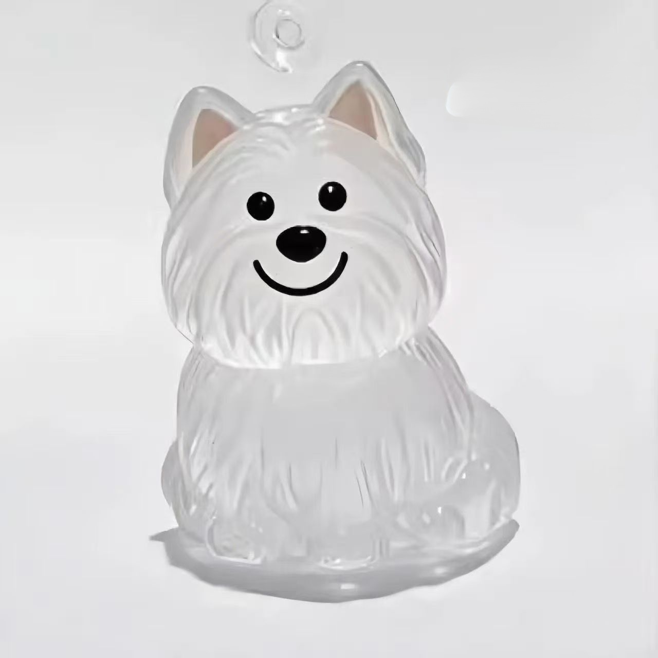 Porte-clés avec pendentif chien, boîte transparente pour poils d'animaux