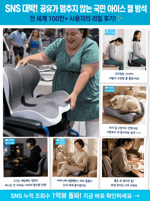 독일정형설계 무중력 아이스 젤  등받이 일체형 자세교정 방석