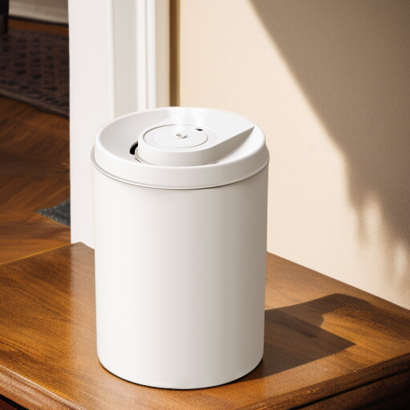 大容量靜音桌上型加濕器 雙模式氛圍燈