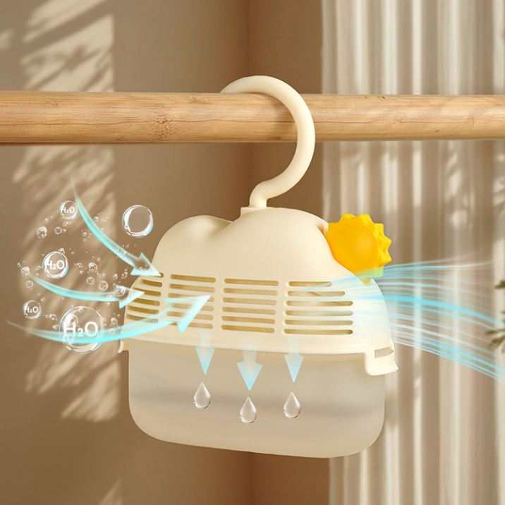 Moisture Absorber for Closet