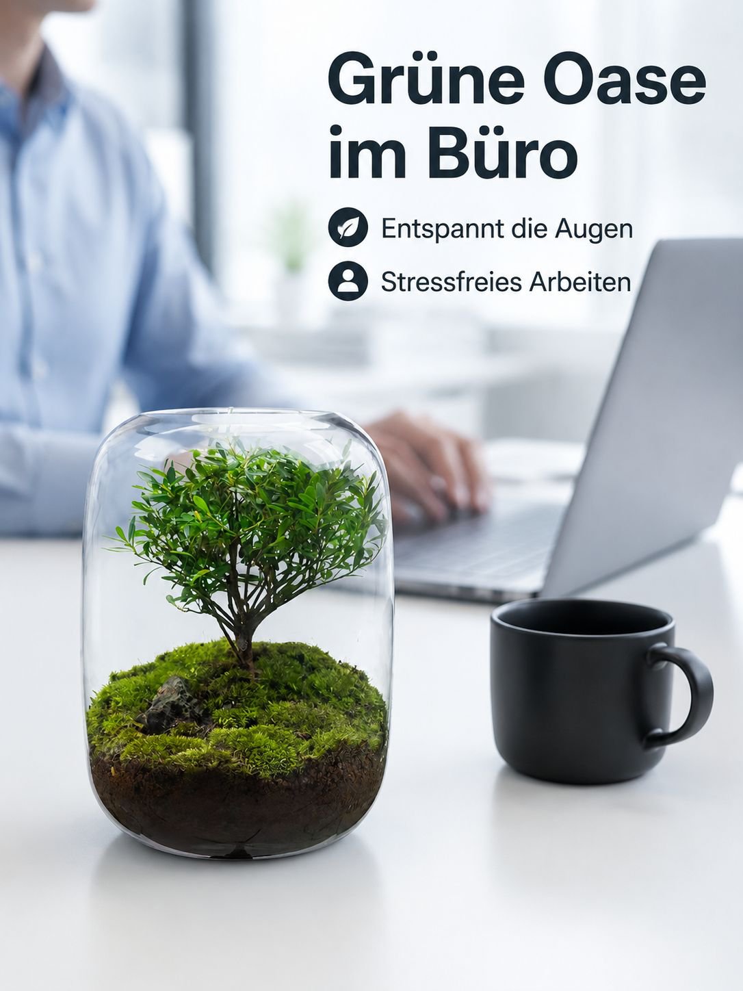 Tischpflanzen Mini-Ökosystem-Flasche