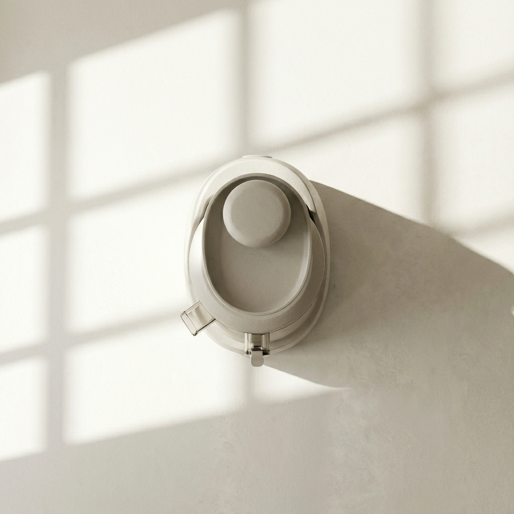 เครื่องคั้นน้ำผลไม้ขนาดเล็กพกพาสะดวก