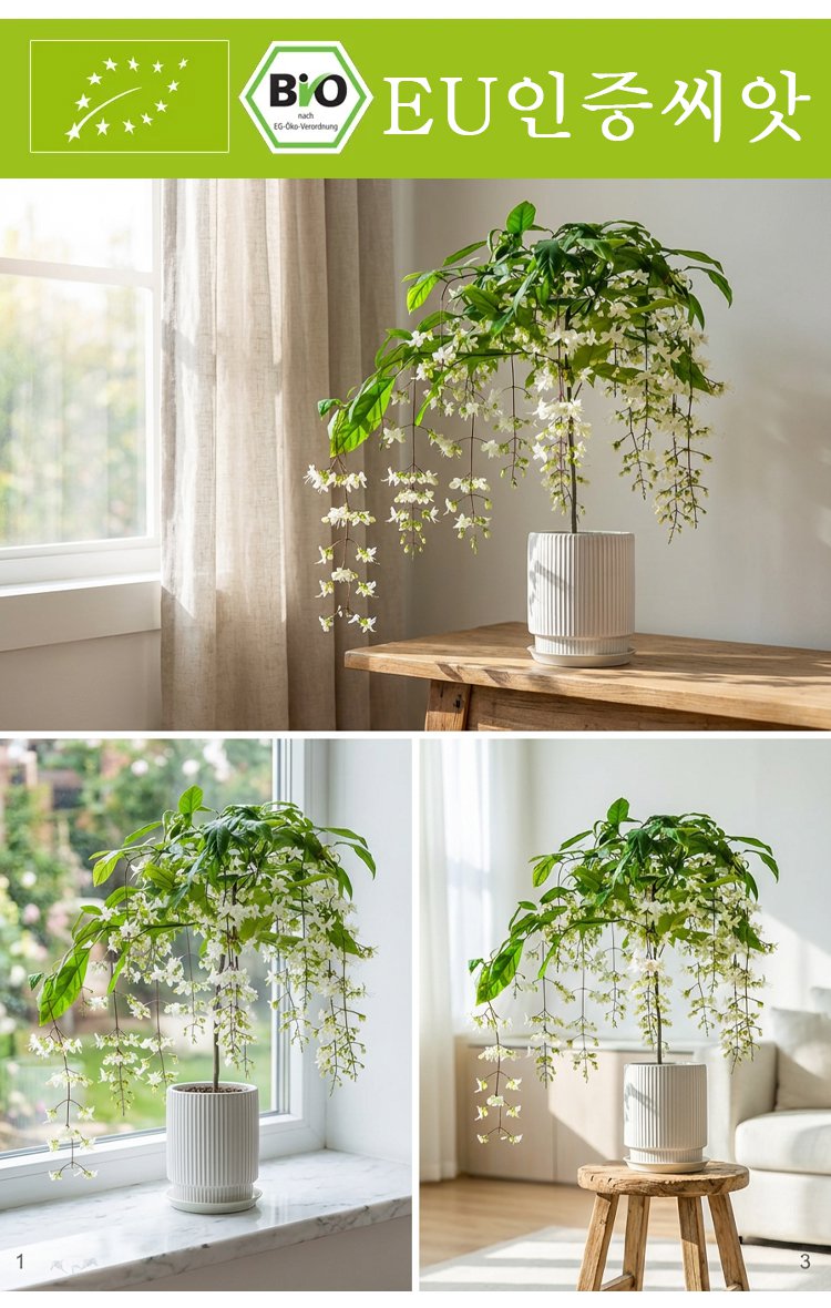 花_06.jpg