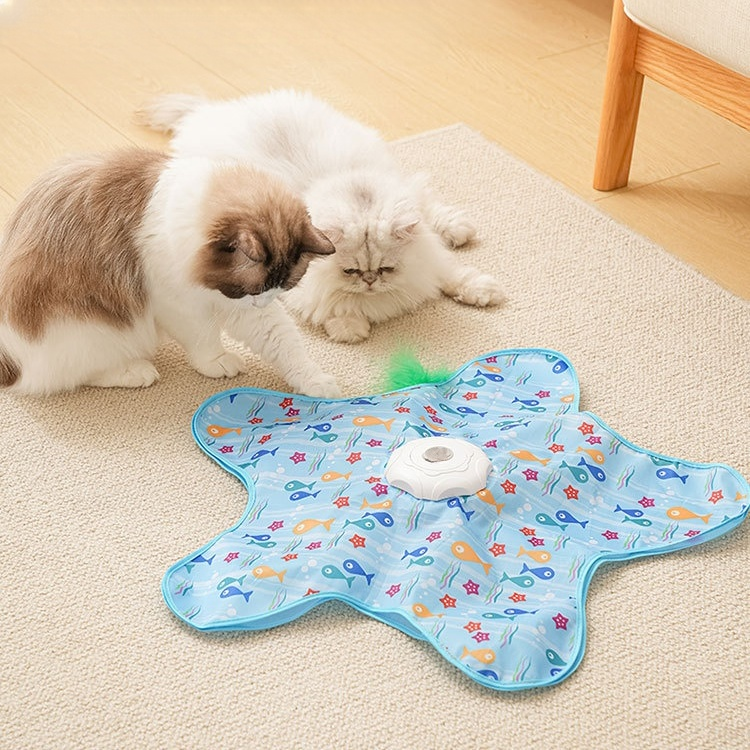 자동 고양이 이중 원형 놀이판 세트