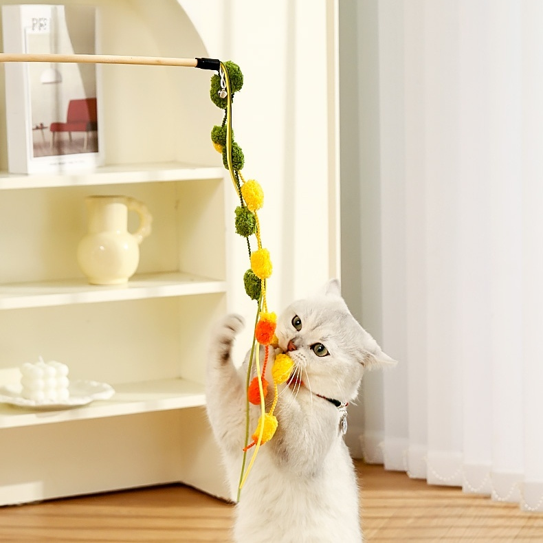 貓咪互動耐用玩具