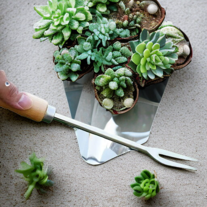 園芸用全根雑草取り器、便利で実用的な芝生清掃ツール