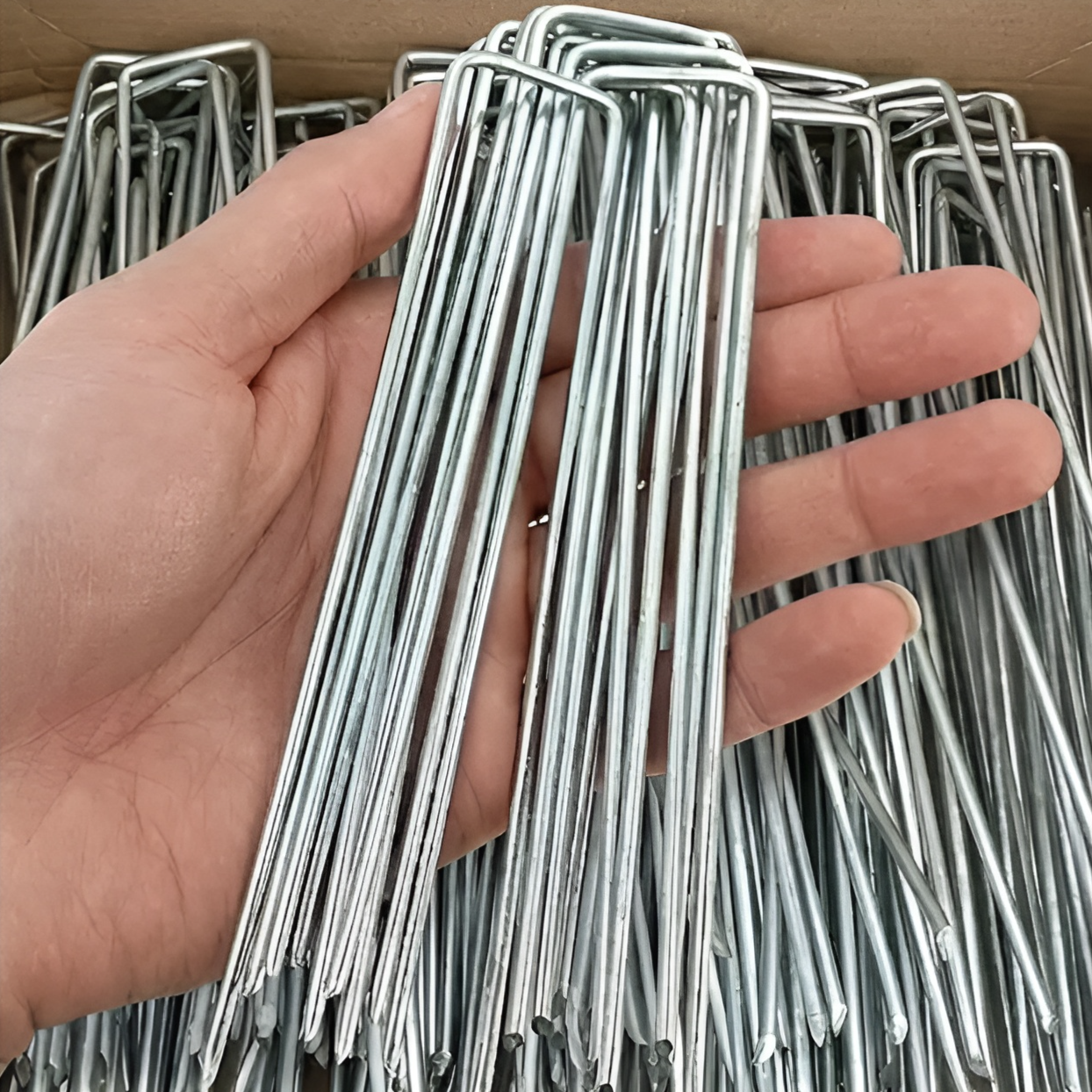 育苗保護罩U型地釘
