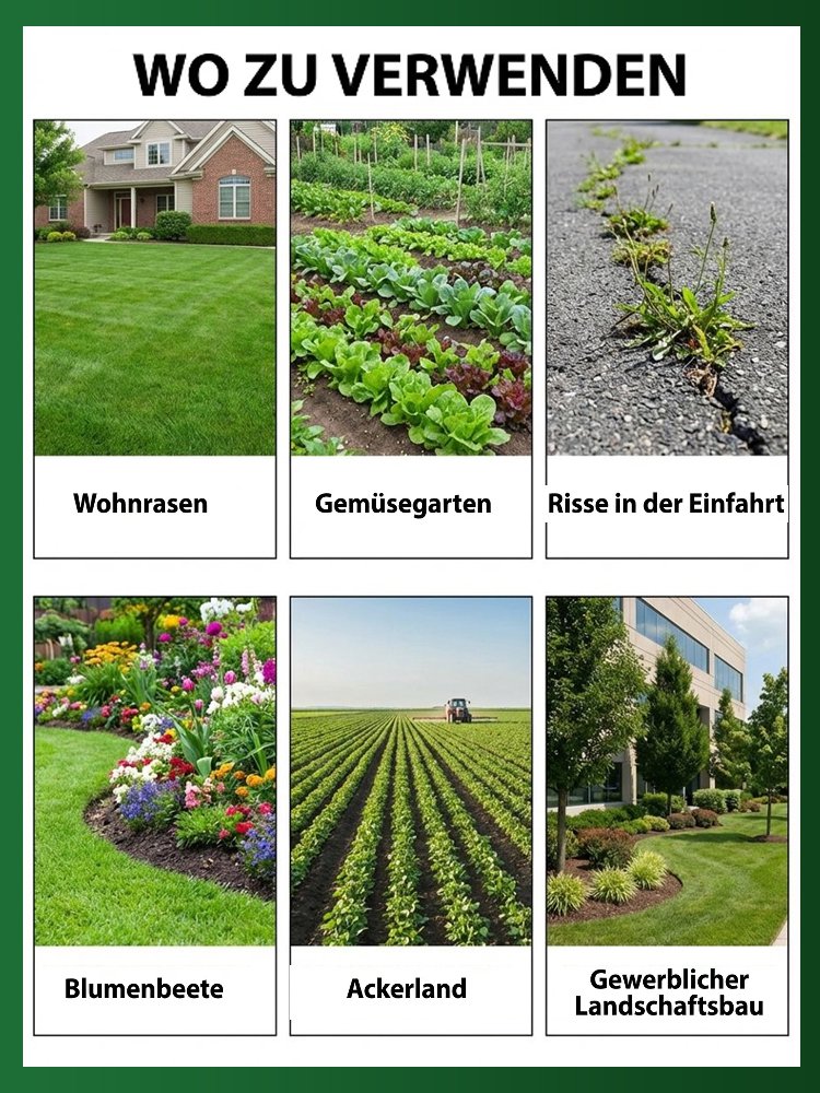 【BVL & TÜV Getestet】Hohenheim Premium Bio-Unkrautvernichter✨3 Jahre dauerhaft unkrautfrei