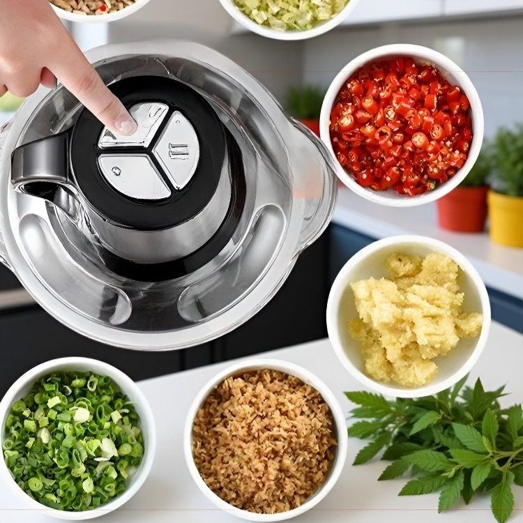 전자동 스테인리스강 가정용 제육기