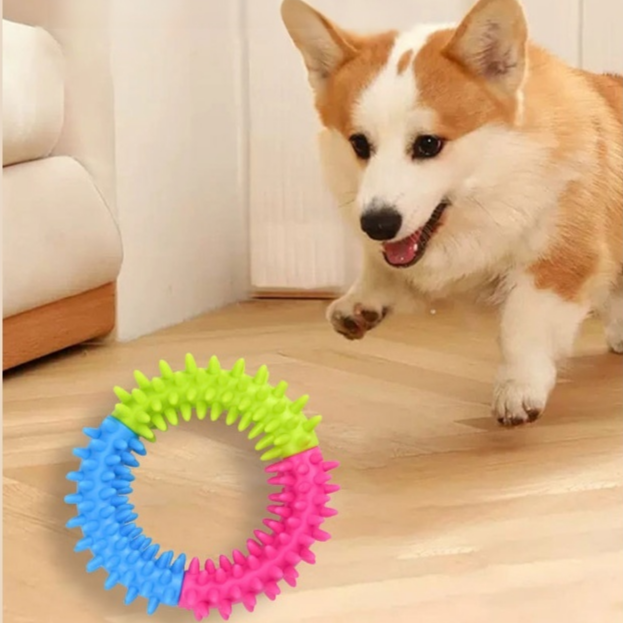 狗狗啃咬橡膠玩具