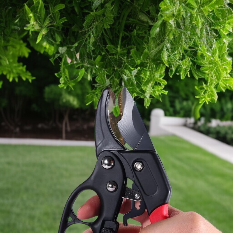 원예전정 분할식 정원 과일 가지치기 다용도 가지치기 스테인리스강력나무 가지치기