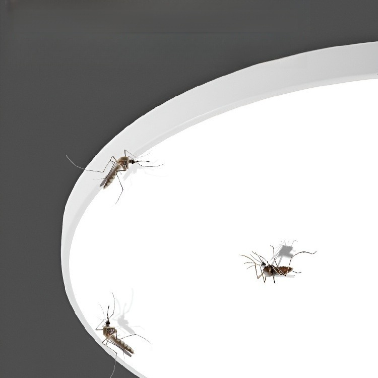 Automatic Corridor Sensor Lighting