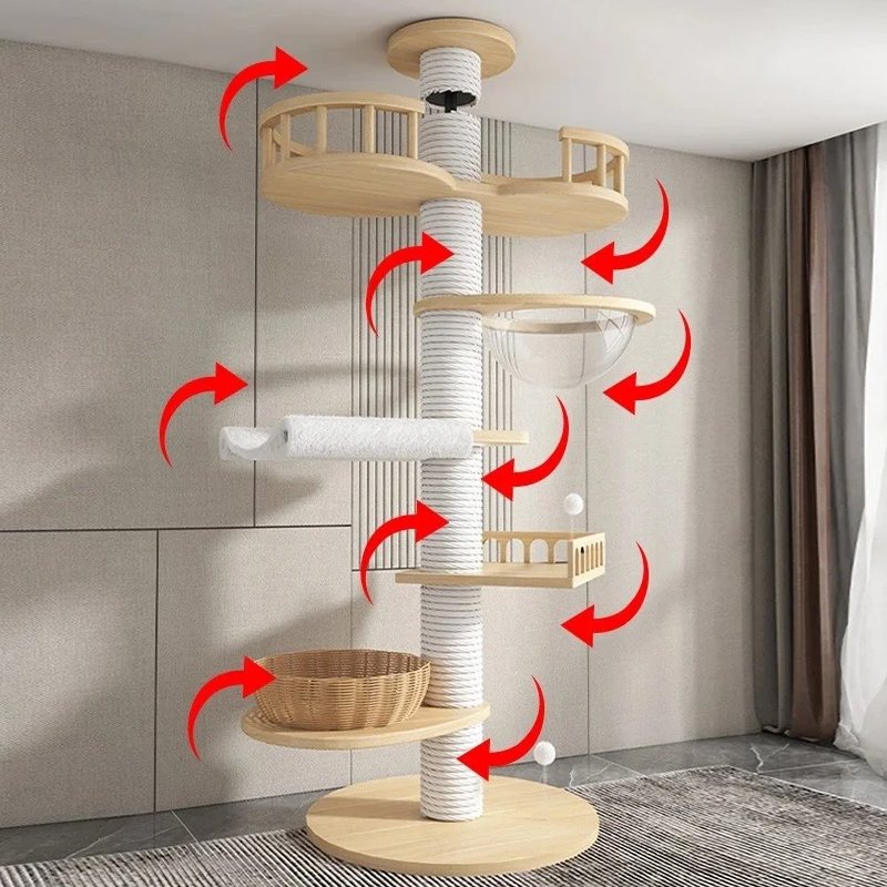 고양이가 나무를 기어오르다.