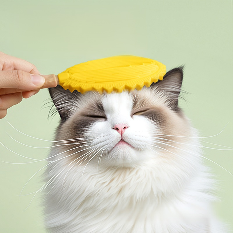 Outil de rasage multifonctionnel pour le toilettage des animaux