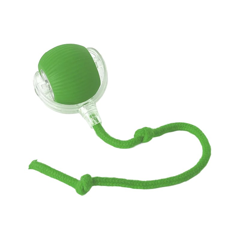 ลูกบอลกระโดดสัตว์เลี้ยง