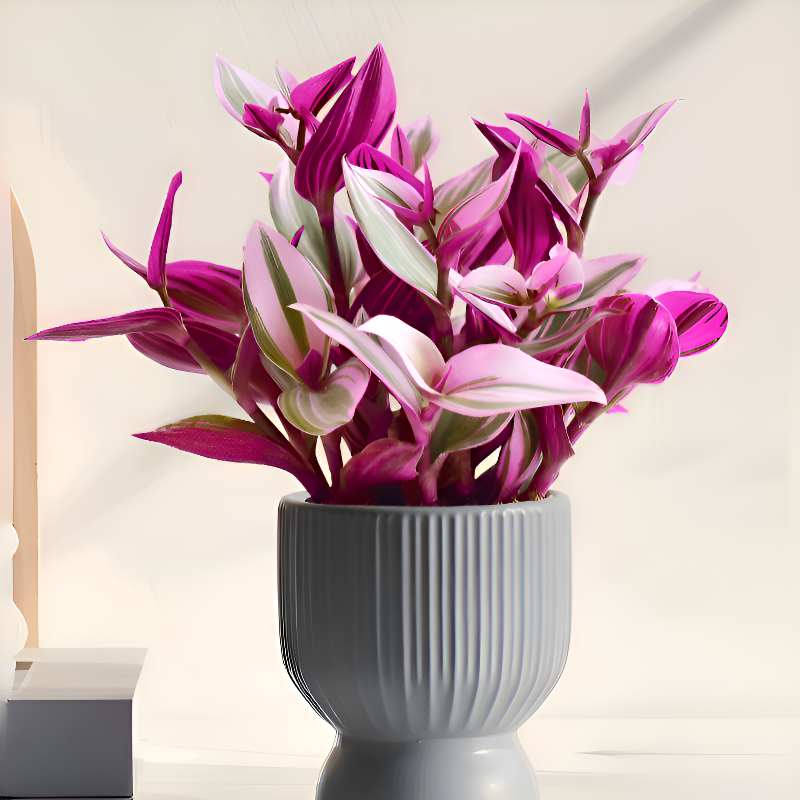 優雅油畫吊蘭室內花卉