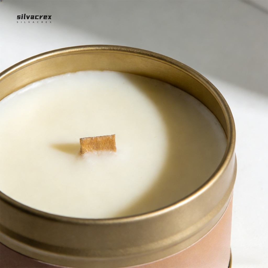 車用空氣清新香薰（10枚）