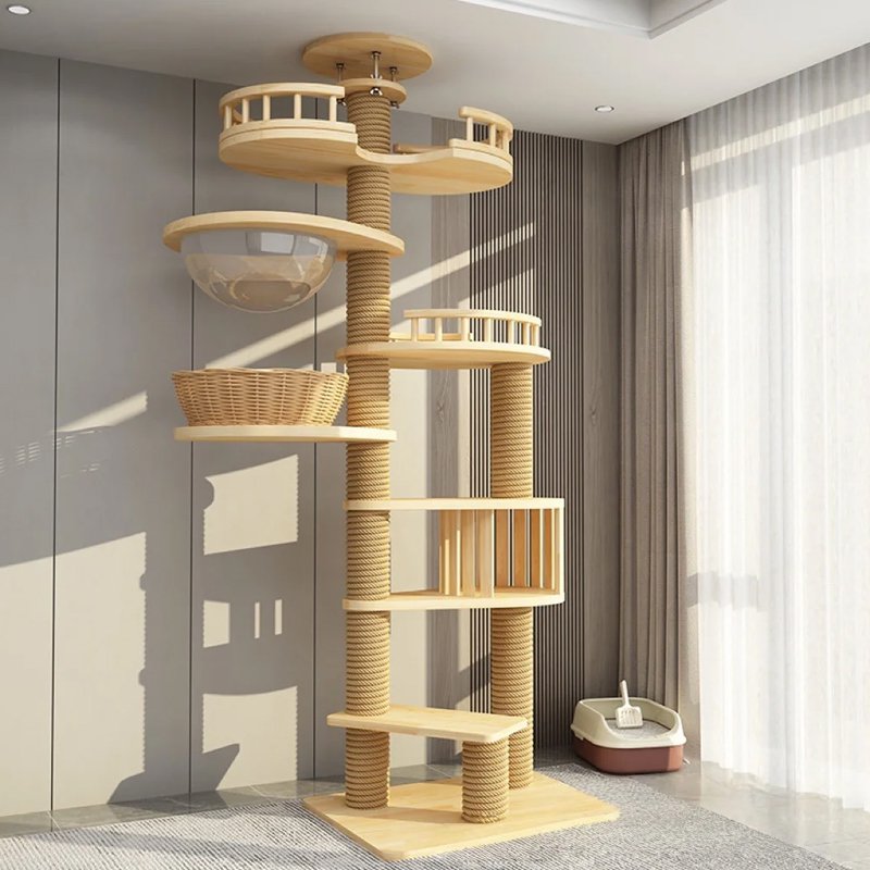 고양이가 나무를 기어오르다.