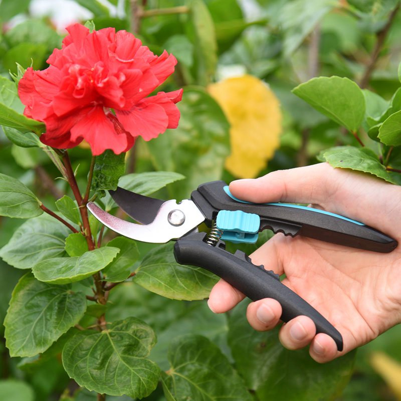 Cortadora de tijeras de mango de jardín