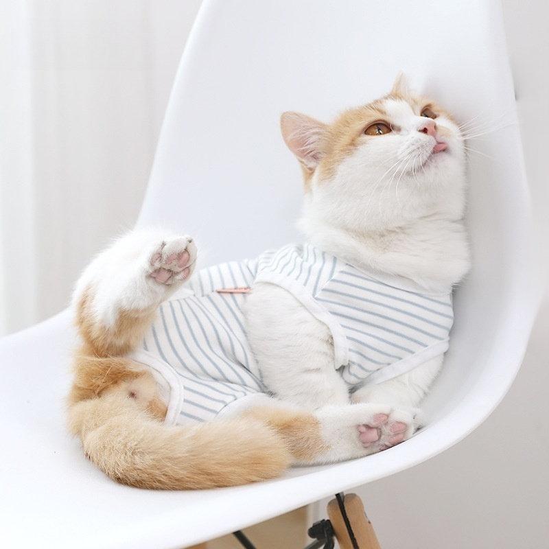 貓咪護理服 薄款防舔透氣衣服