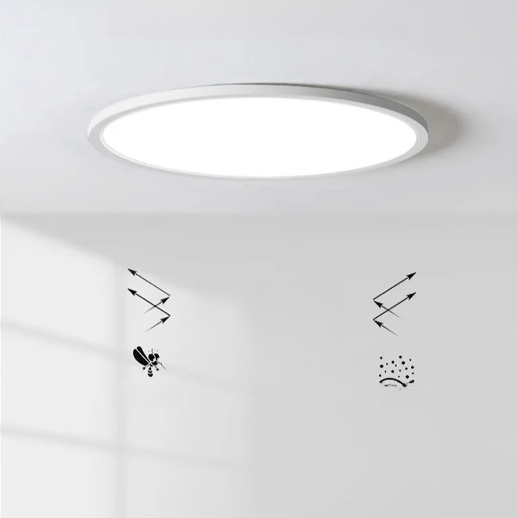 Entrance LED Ultra-thin Ceiling Light