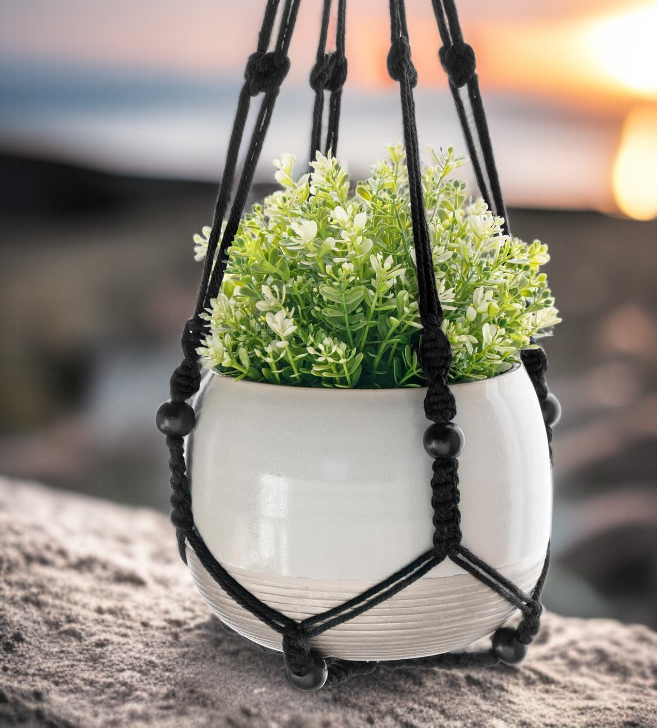 تغليف المنتجات الغذائية في كوريا الشمالية