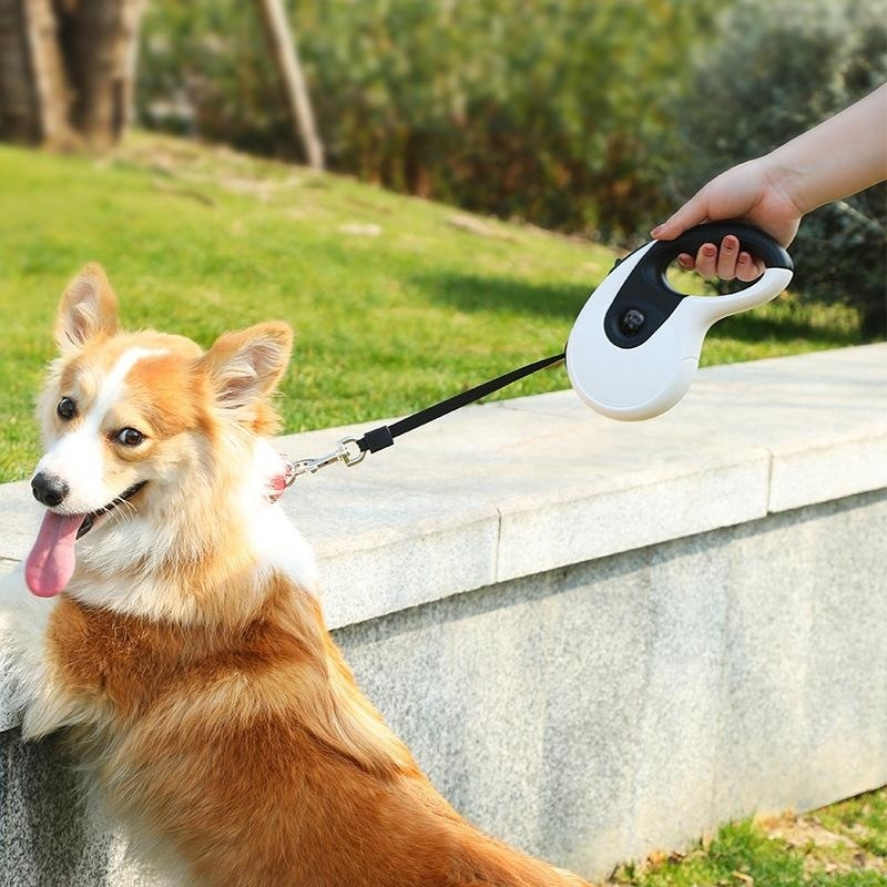 Automatische, ausziehbare Outdoor-Hundeleine für große Hunde