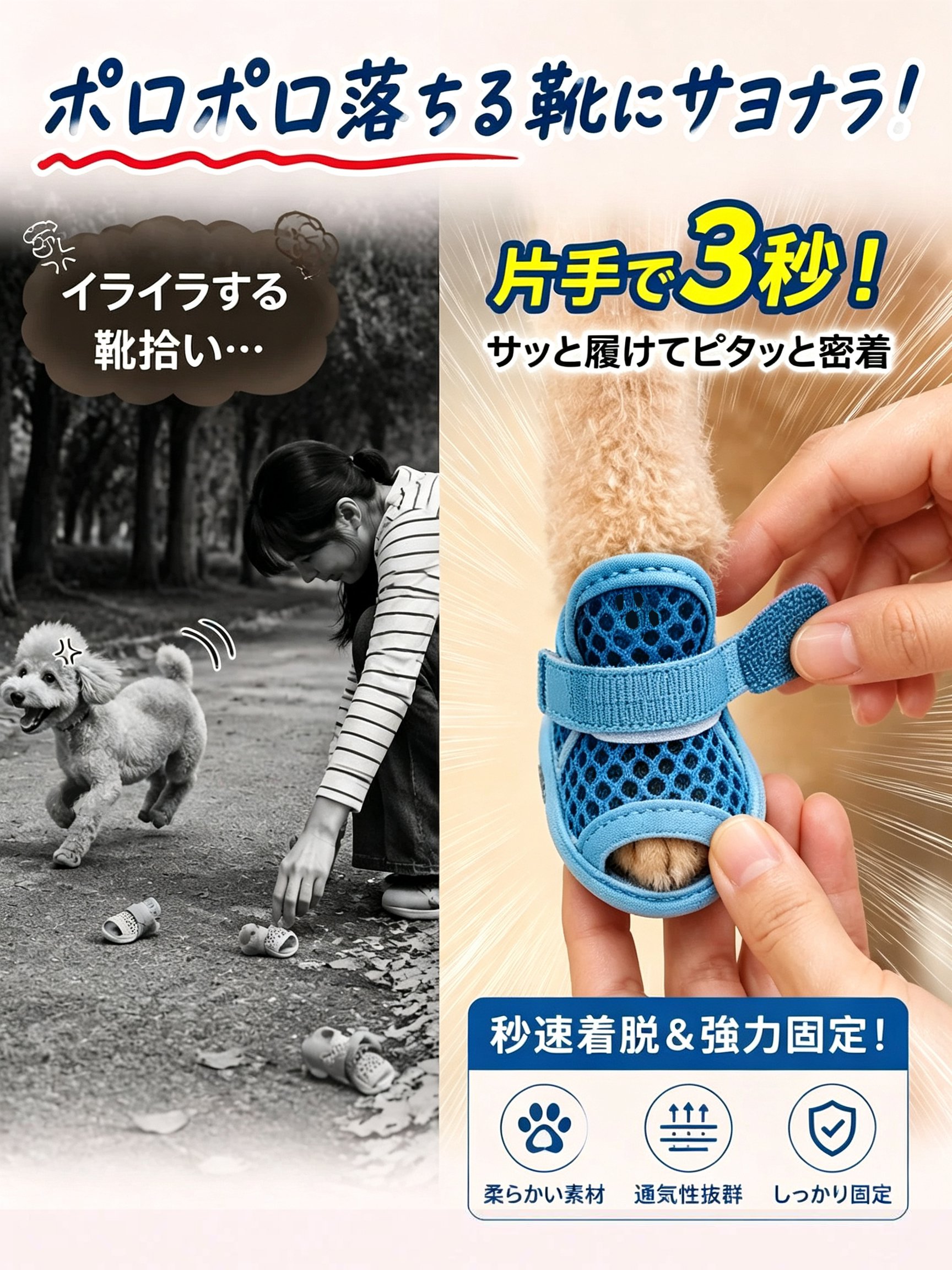 未标题-2.jpg