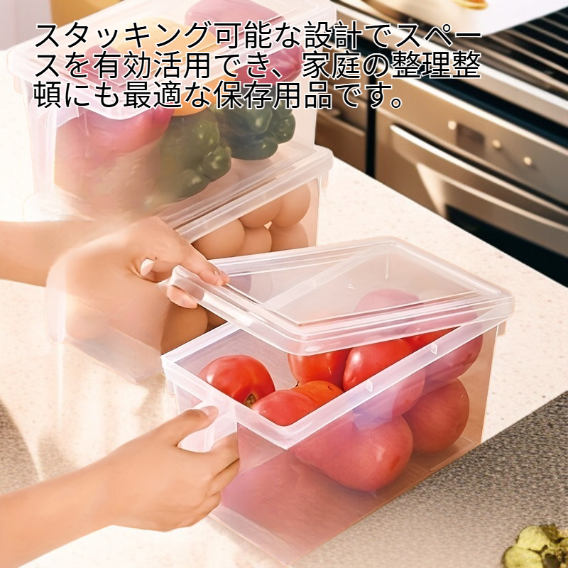 家庭用冷凍収納容器