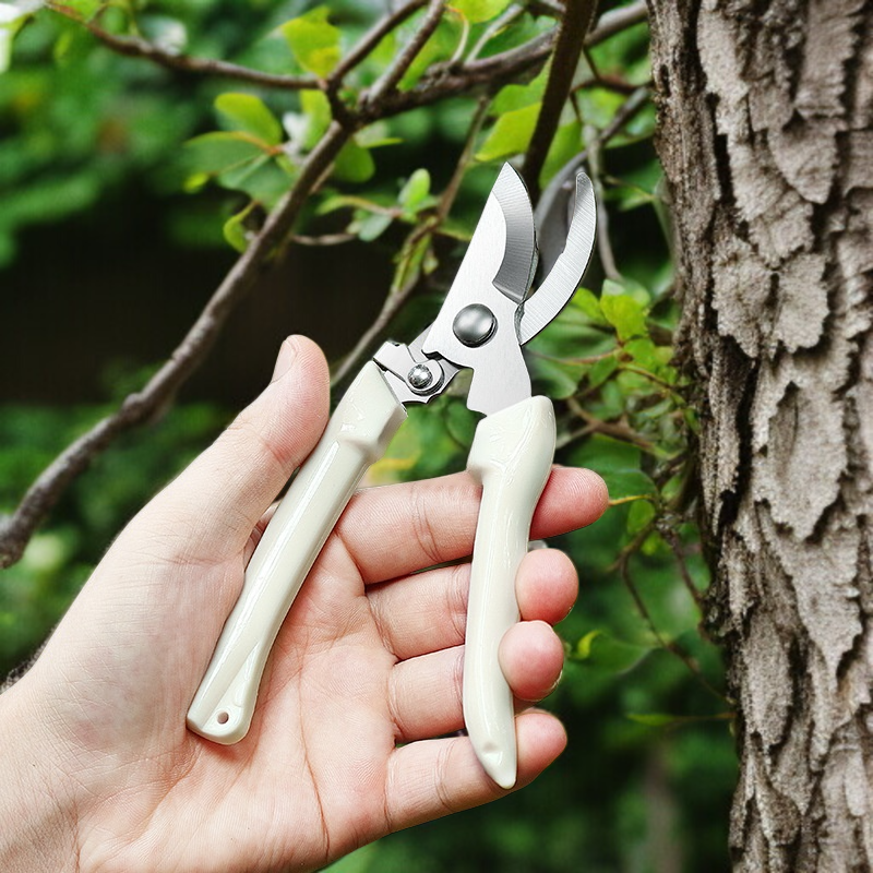 庭木剪定鋏 ガーデニング鋏 ガーデンフルーツ摘み取りハンドツール ガーデンツールフルセット