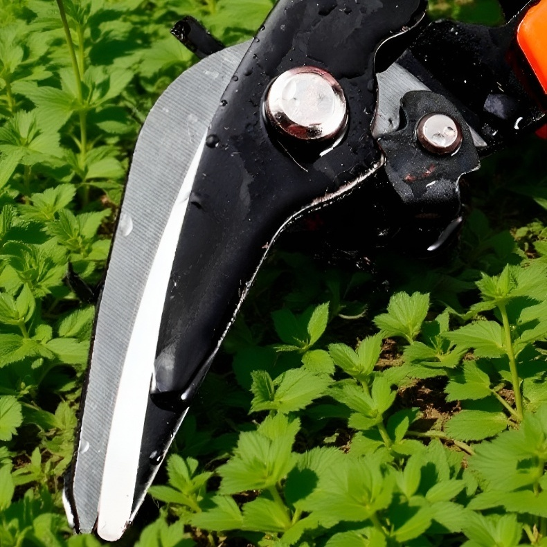 กรรไกรตัดหนังเหล็กกล้าคาร์บอนสูงเกรดอุตสาหกรรม