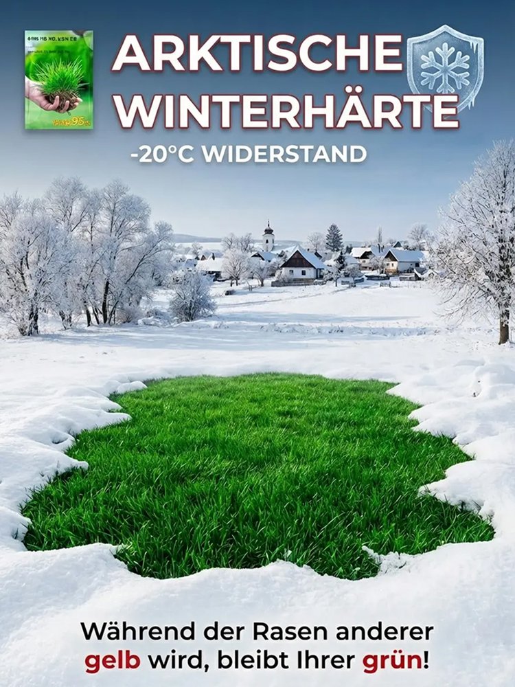 【Keimrate 99%】Vierjahreszeiten-Gras, frostbeständiger Rasensamen