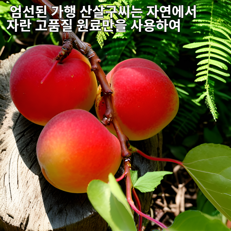 엄선된 가행 산살구씨