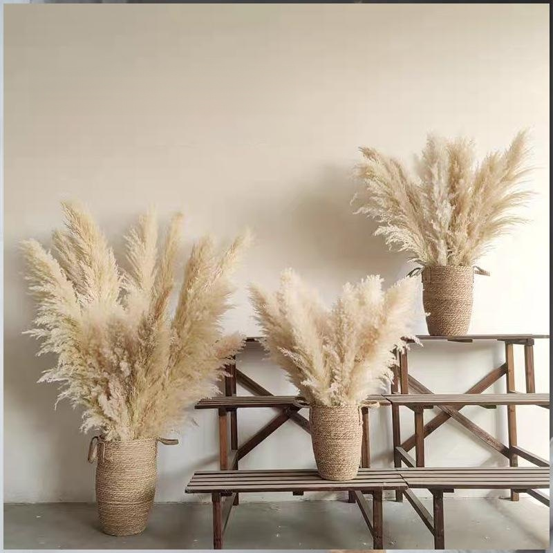 Big Reed True Flower Dried Flower Decoration