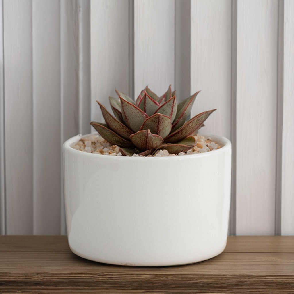 원형 보헤미안 세라믹 다육이 화분