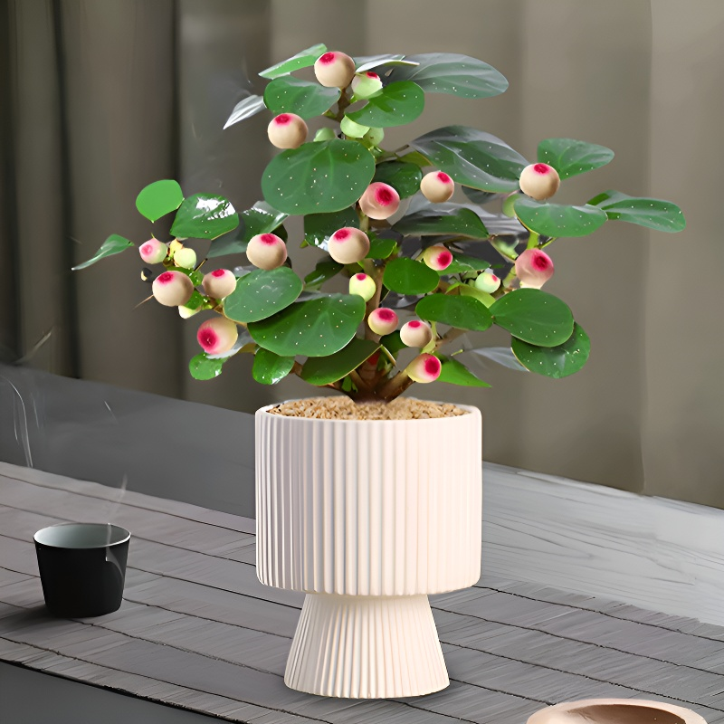 심신을 다스리는 보리향