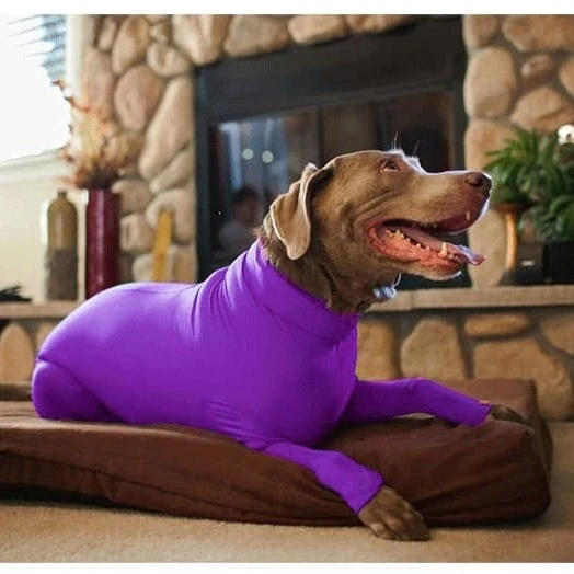 冬用防寒オールインワンペットウェア