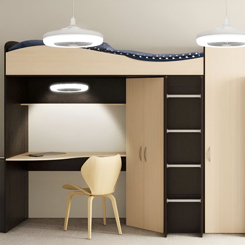 Two-in-one energy-saving lamp for lighting and fan