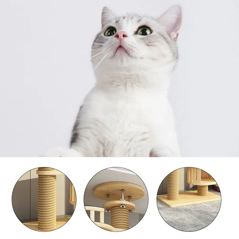 สัตว์เลี้ยง Scratch แมวปีนต้นไม้