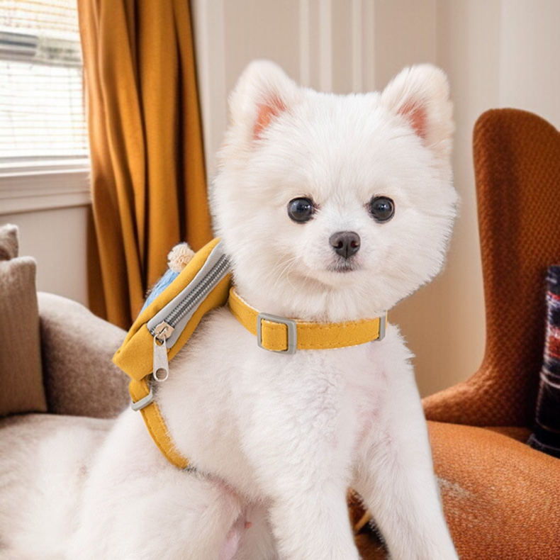 猫がリードとチェストストラップを着用しているイメージ