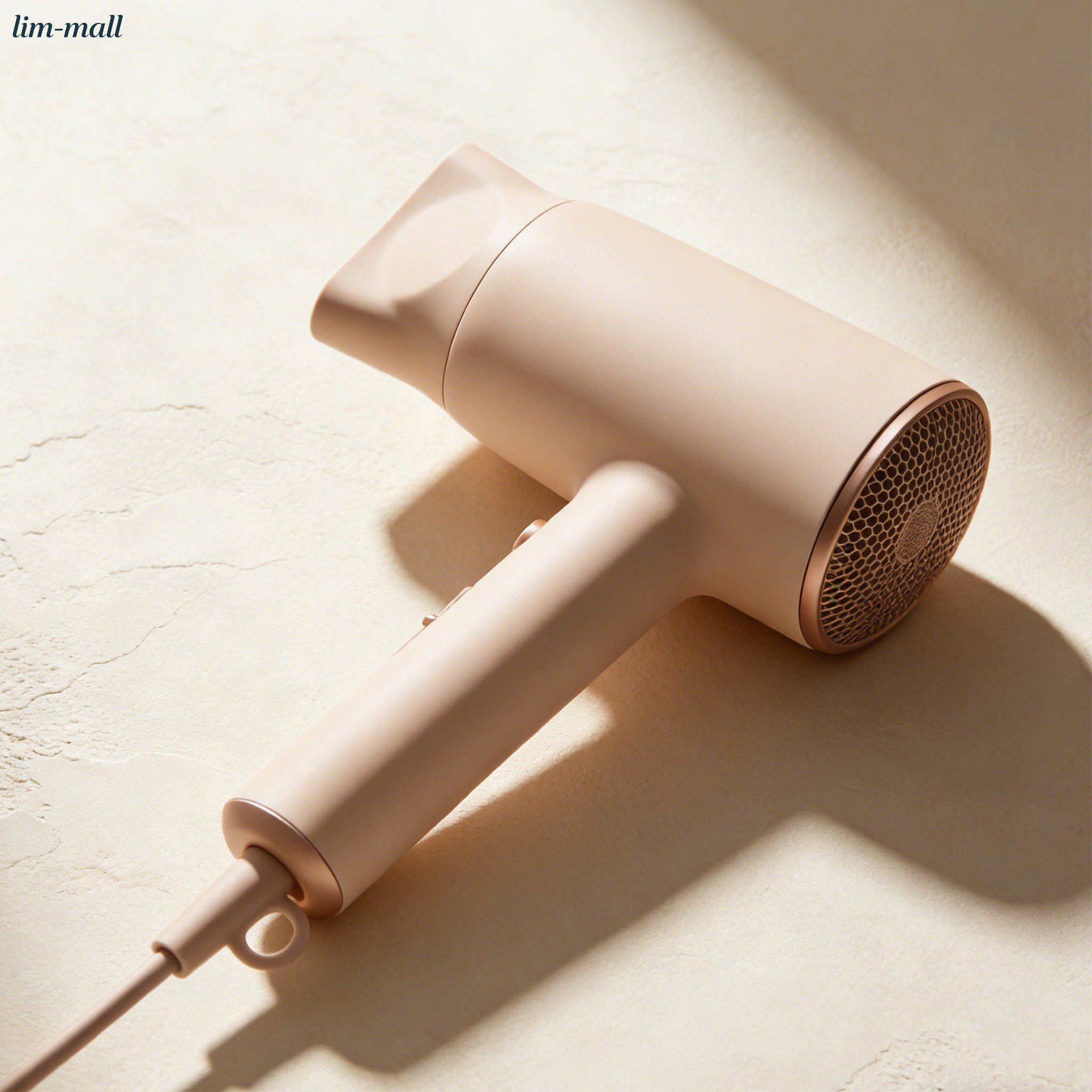 Household hair dryer