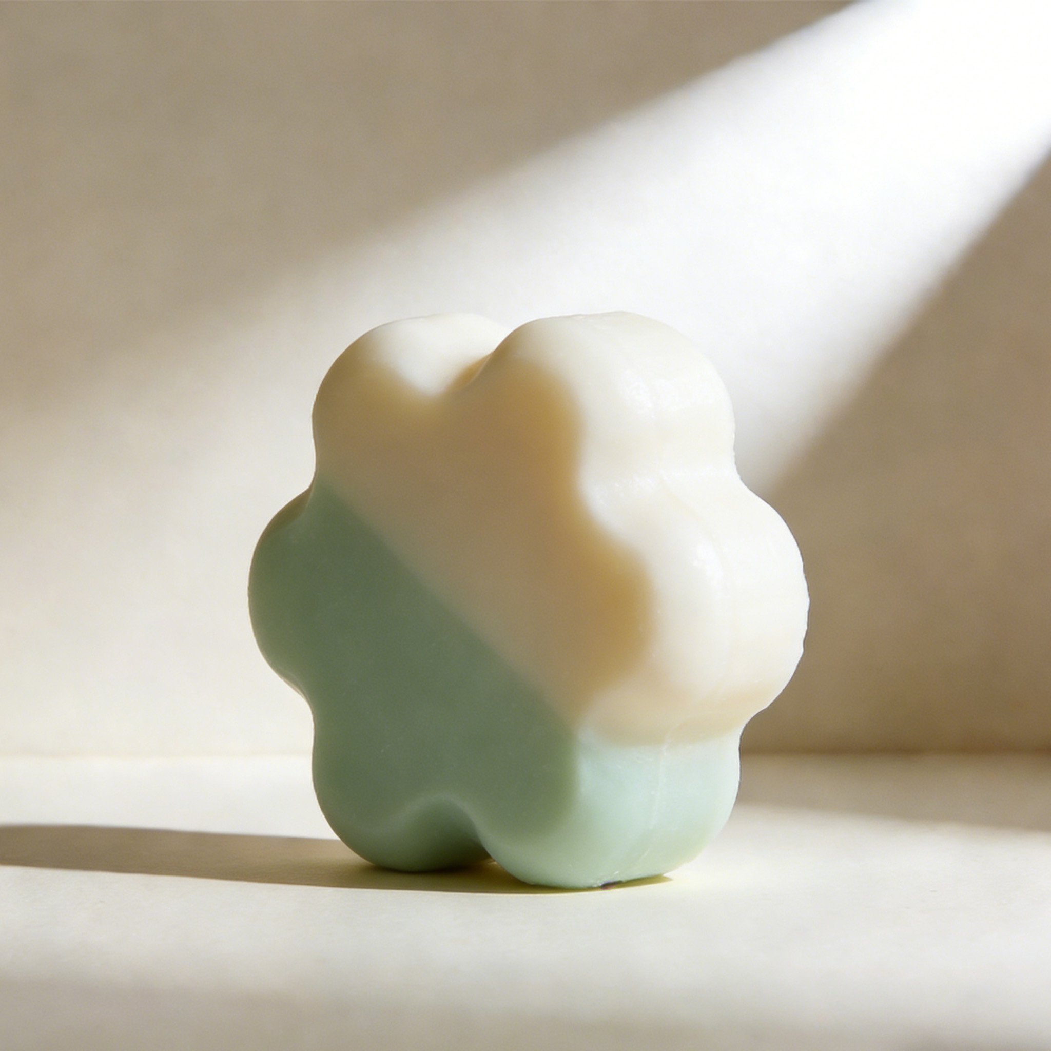 クリーンソープ10個入り