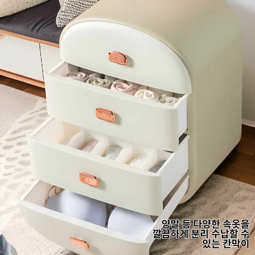 도금 서랍형 속옷 수납함, 브라 팬티 양말 칸막이 정리함
