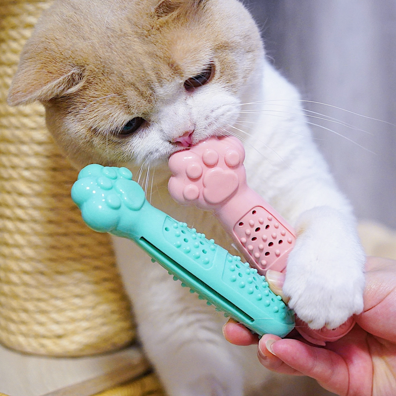 Jouet nettoyant pour dents avec herbe à chat